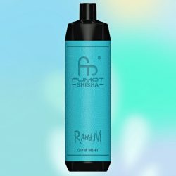R and M Shisha 10K Gum Mint Goût - RandM Vape Français
