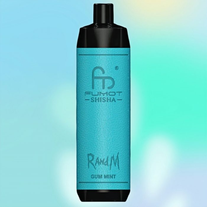 R and M Shisha 10K Gum Mint Goût - RandM Vape Français