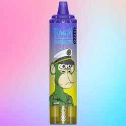 Puff RandM 15000 Blueberry Pomegranate Goût - RandM Vape Français