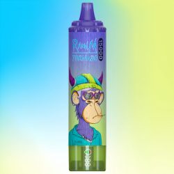 R and M 15000 Vimto Goût - RandM Vape Français