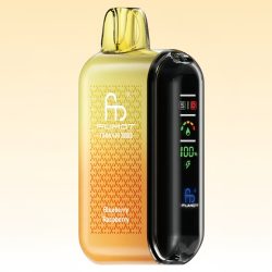 R and M Tornado 20K Blueberry Raspberry Goût - RandM Vape Français