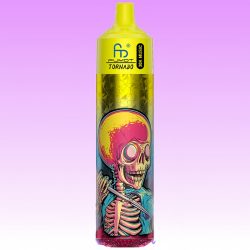 Puff RandM Tornado 30000 Blueberry On Ice - RandM Vape Français