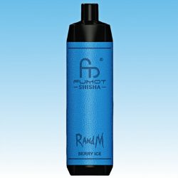 R&M Shisha 10000 Berry Ice Goût - RandM Vape Français