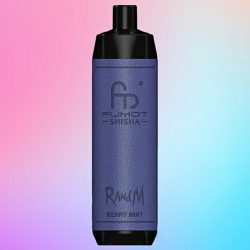 RandM Shisha 10K Berry Mint Goût - RandM Vape Français