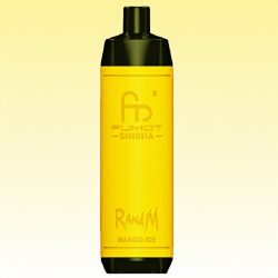 Randm Shisha 10000 Mango Ice Goût - RandM Vape Français