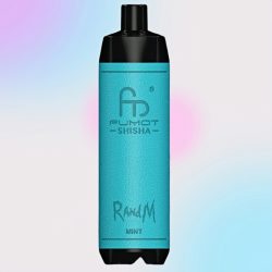Puff RandM Shisha 10K Mint Goût - RandM Vape Français