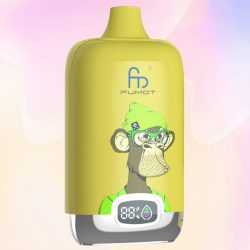 RandM Tornado 12000 Berry Lemonade Goût - RandM Vape Français