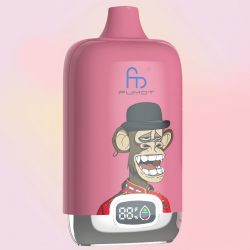 Randm Digital Box 12000 Strawberry Pomp Goût - RandM Vape Français