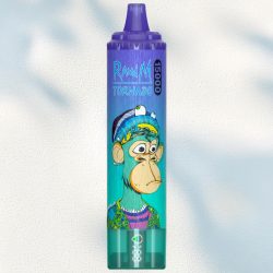 Puff RandM Tornado 15K Blueberry On Ice - RandM Vape Français