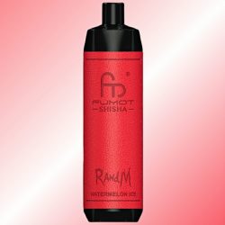 Puff Randm 10000 Watermelon Ice - RandM Vape Français