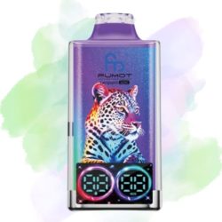 Randm Tornado 40000 Blueberry Pomegranate Ice - RandM Vape Français