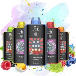 Fumot Leopard 40000 Blueberry Cherry Cranberry - RandM Vape Français