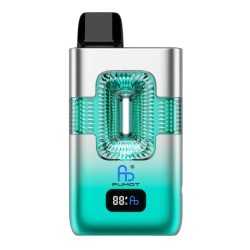 Fumot Eco 2in1 50K Cool Mint & Watermelon Ice - RandM Vape Français